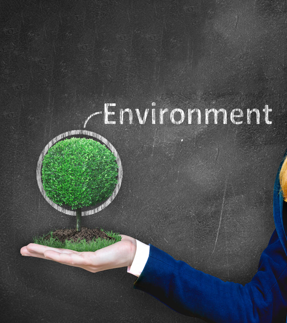 Environmental (E): Green Operations, Ecological Protection